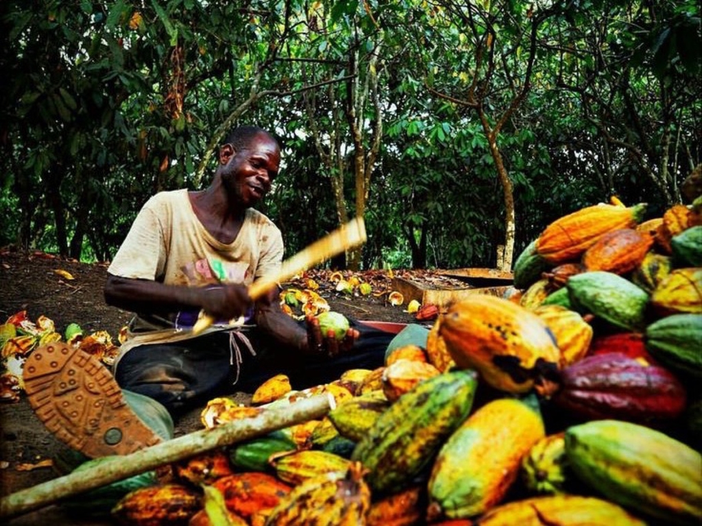 Demandez votre devis personnalisé